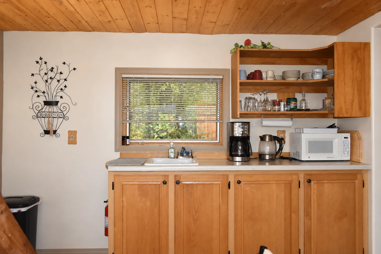 Kitchenette with cabinets, microwave and coffee station in Northern Exposure Cabin