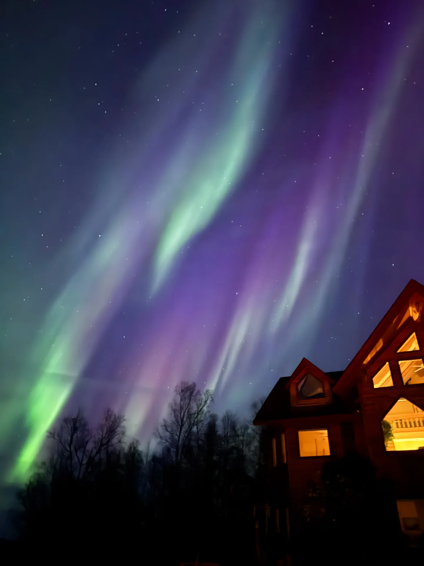 Green and purple northern lights beside Denali Overlook Inn