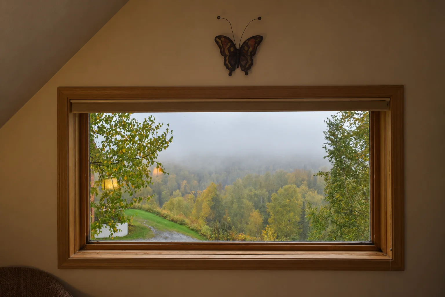 Forest and hillside view from Northern Exposure Cabin